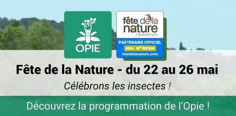 Découvrez la programmation de l’Opie pour la Fête de la Nature | Variétés entomologiques | Scoop.it