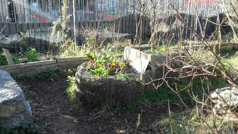Lille: les &laquo;Dr&ocirc;les d&rsquo;Waz&rsquo;eaux&raquo;, un jardin pas comme les autres &agrave; Wazemmes | Nature en ville | Scoop.it