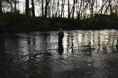 Ouverture de la pêche le 9 mars : une tradition impatiente | Vallées d'Aure & Louron - Pyrénées | Scoop.it
