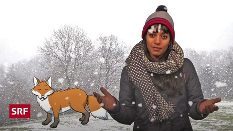 Physik, Chemie, Biologie - Wie kommen Tiere mit dem Winter klar? - SRF mySchool - SRF | Medien & Informatik &ndash; Zyklus 1 | Scoop.it
