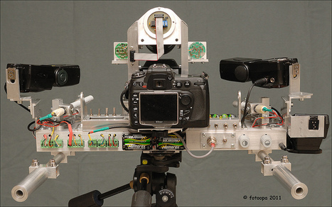 Fotoopa’s unbelievable Nikon custom rig for capturing insects in flight | Photography Gear News | Scoop.it