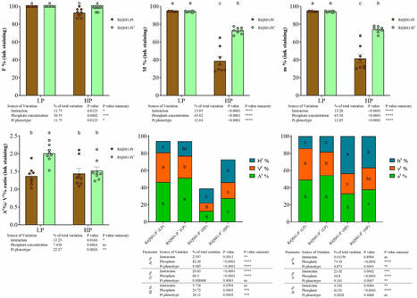 Short-term artificial adaptation of Rhizoglomus irregulare to high phosphate levels and its implications for fungal-plant interactions: phenotypic and transcriptomic insights | Plant-Microbe Symbiosis | Scoop.it