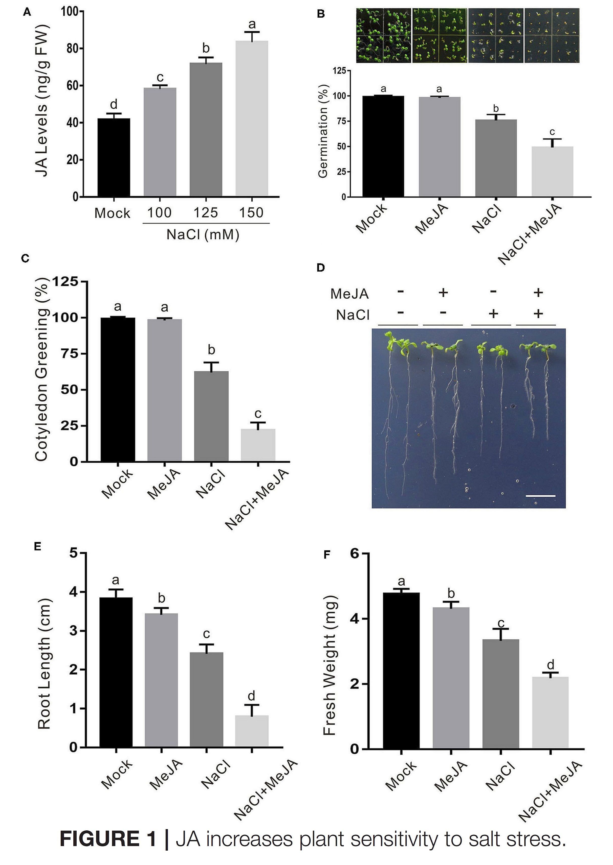 Jasmonic Acid Impairs Arabidopsis Seedling Salt...