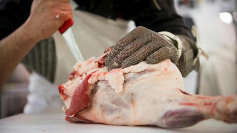 Consommation : le bœuf français à la cote | Actualité Bétail | Scoop.it