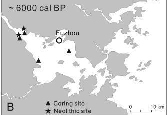 Late Holocene Evolution of the Fuzhou Basin (Fujian, China) and the Spread of Rice Farming | The Asian Food Gazette. | Scoop.it