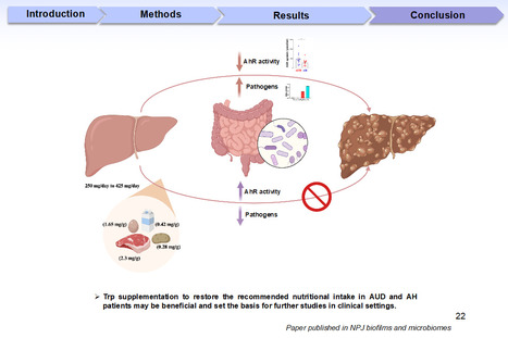 Maintenir des niveaux adaptés de Tryptophane est bénéfique pour le microbiote intestinal des patients souffrant d'une maladie alcoolique du foie | Life Sciences Université Paris-Saclay | Scoop.it