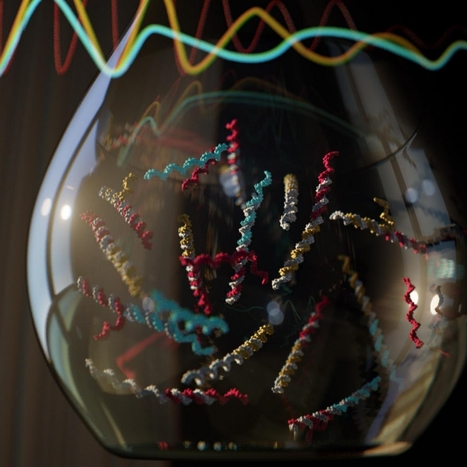 Kurzweil : "University of Texas / Austin | How to program DNA like we do computers | Ce monde à inventer ! | Scoop.it