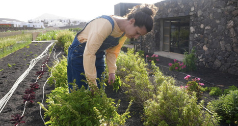 AGRICULTURE: 2026 is the International Year of Women Farmers | Revue de presse - Club DEMETER | Scoop.it