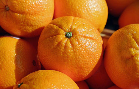 Pesticides : Des oranges rappelées partout en France | Toxique, soyons vigilant ! | Scoop.it