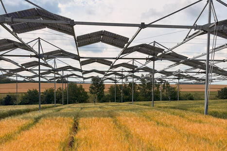 Une &eacute;tude montre que les cultures arables s&rsquo;adaptent &eacute;tonnamment bien &agrave; l&rsquo;ombrage agrivolta&iuml;que | ENERGIES NOUVELLES ET RENOUVELABLES, STOCKAGES, HYDROGENE VERT | Scoop.it