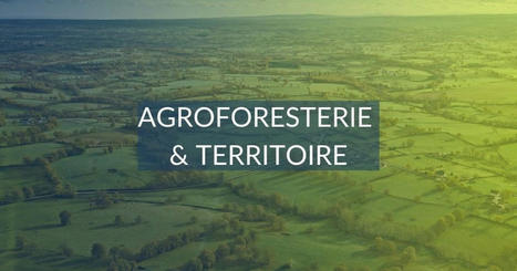 Association Française d'Agroforesterie - Newsletter Dec 2020 | Biodiversité | Scoop.it