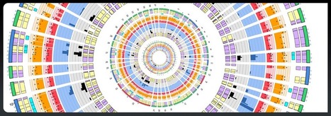 Create Stunning Circular Infographics: Circos | Amazing Science | Scoop.it