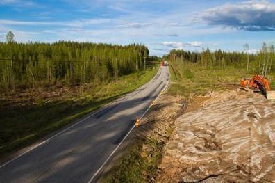 Metsä | 1Uutiset - Lukemisen tähden | Scoop.it
