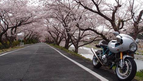 beauty explosion in Japan | Vintage Motorbikes | Scoop.it