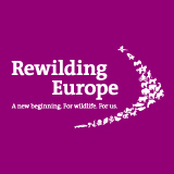 Wildlife Comeback in Europe » Rewilding Europe | Biodiversité | Scoop.it