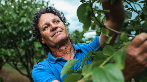 Rising populations and development in Sydney's west threatens food bowl - ABC News | Stage 6 HSC Geography ( Current syllabus) | Scoop.it