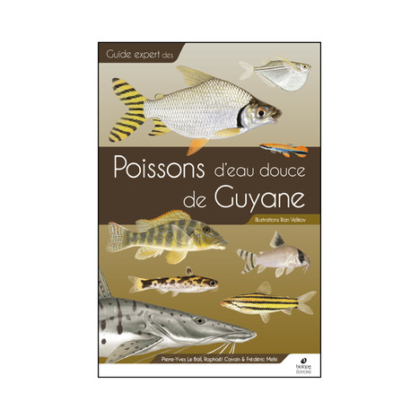 Guide des Poissons d'eau douce de Guyane - Biotope | Biodiversit&eacute; | Scoop.it