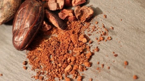 Scientists Are Joining Forces to Save Chocolate From Extinction - Interesting Engineering | iPads, MakerEd and More  in Education | Scoop.it