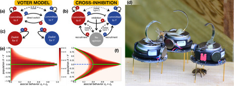 Cross-inhibition leads to group consensus despite the presence of strongly opinionated minorities and asocial behaviour | Papers | Scoop.it