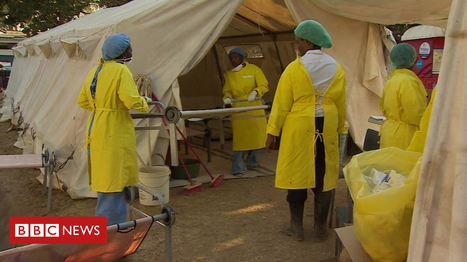 Zimbabwe's cholera emergency: 'Stench of sewage' in Harare | Virology News | Scoop.it