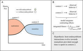 Modeling endosymbioses: Insights and hypotheses from theoretical approaches | Plant-Microbe Symbiosis | Scoop.it