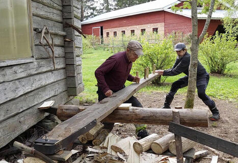 Kuukauden esine: P&auml;reh&ouml;yl&auml; p&auml;rekattojen kultakaudelta | Lehti | Scoop.it