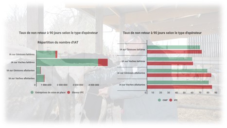 Le cap des 800 000 doses en insémination par l'éleveur franchit | Lait de Normandie... et d'ailleurs | Scoop.it