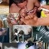 INTERNET para TODOS