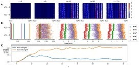 Introducing neuromodulation in deep neural networks to learn adaptive behaviours | artificial intelligence for students | Scoop.it