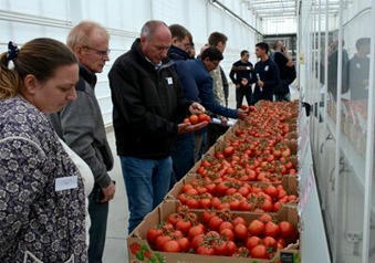 Innovation en serre : la déshumidification, un levier de performance pour les cultures non chauffées - Pleinchamp | HORTICULTURE | Scoop.it