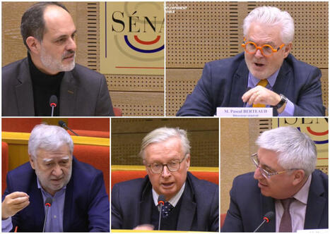 Transition &eacute;cologique : la peur est-elle bonne conseill&egrave;re ? | veille quotidienne | Scoop.it