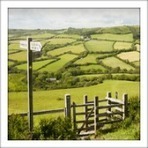 Brexit and UK Agricultural perspective | Revue de presse - Club DEMETER | Scoop.it