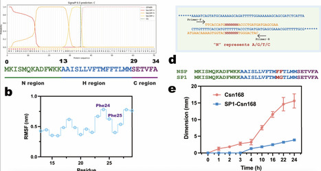 Combining Signal Peptide Optimization with Directed Evolution to Enhance Chitosanase Activity | acs | RMH | Scoop.it