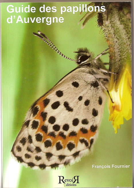 Guide des papillons d'Auvergne | Variétés entomologiques | Scoop.it