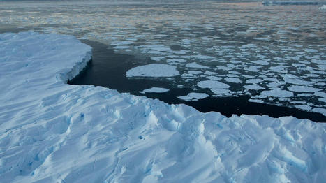 Réchauffement climatique : l'Antarctique fond de manière irréversible, selon une étude scientifique | Biodiversité | Scoop.it