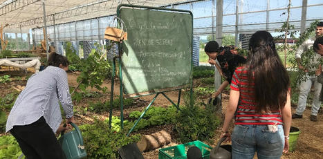 Cultiver les sols d’une métropole au lourd passé industriel, est-ce une bonne idée ? | ESPACES VEGETALISES URBAINS | Scoop.it