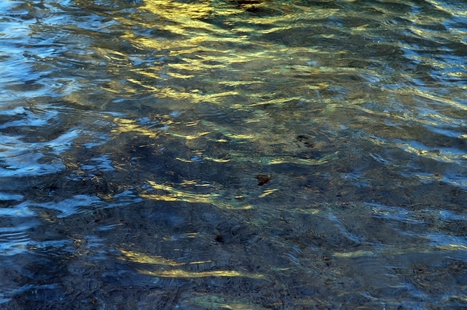 2013, ann&eacute;e internationale de l'eau | Gestion de l'eau | Scoop.it