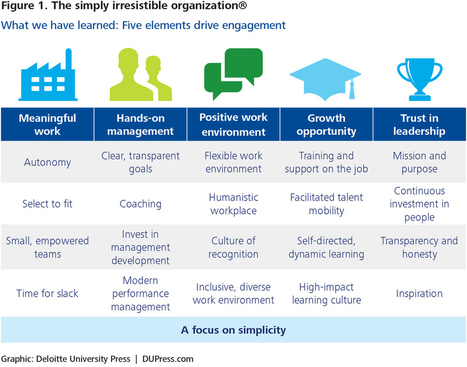 Becoming irresistible: A new model for employee engagement | Adaptive Leadership and Cultures | Scoop.it