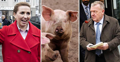 Experens dom: S&aring; g&aring;r det i danska valet | 1Uutiset - Lukemisen t&auml;hden | Scoop.it