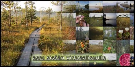 Virtuaalisuo | 1Uutiset - Lukemisen tähden | Scoop.it