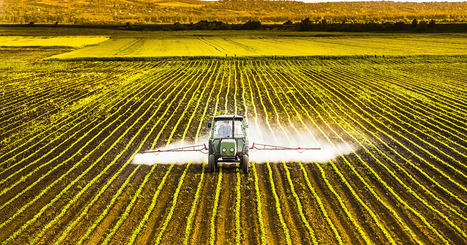 En finir avec les pesticides : pourquoi les choses ne sont pas si simples | SCIENCES DU VEGETAL | Scoop.it