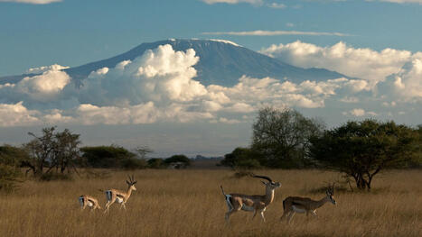 Africa Travel Guide | African Country Report | Scoop.it