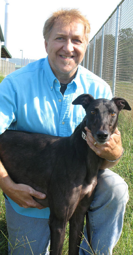 WV-bred sprinters shine | Greyhound Racing | Scoop.it