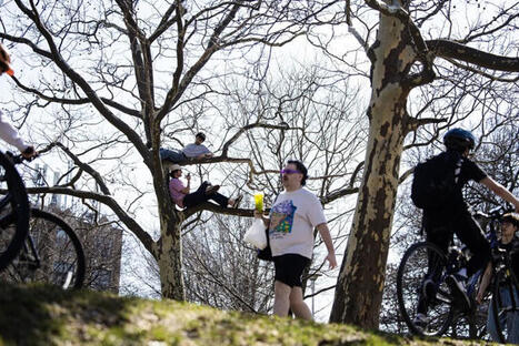 Your brain on spring: How sunny skies and warmer weather affect your physical and mental health | The Health Report | Scoop.it