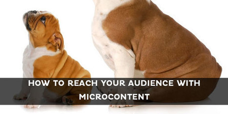 How to Tailor Microcontent to Different Audiences | Kapost | Public Relations & Social Marketing Insight | Scoop.it