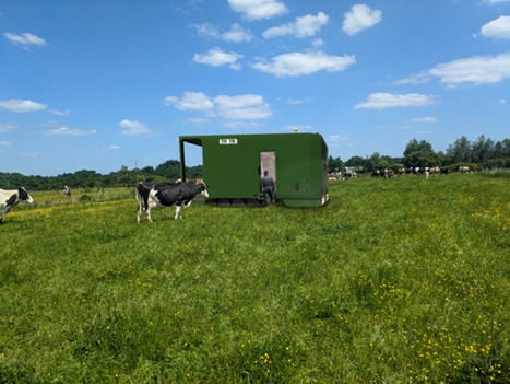 Toï-Toï : et si la traite allait aux vaches ? | Elevage et numérique | Scoop.it