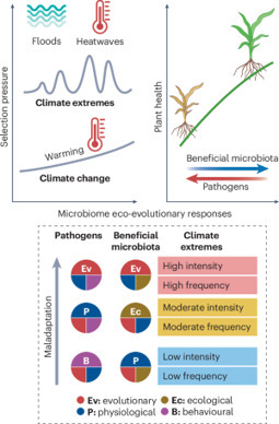 Impacts of climate extremes on plant pathogens,...