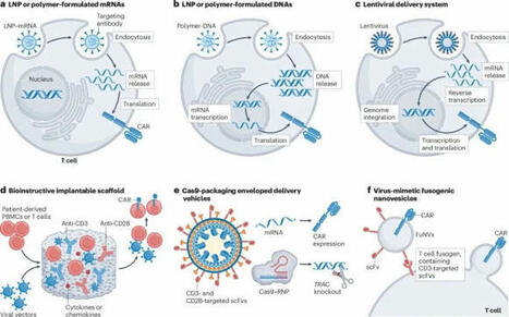Nature Reviews - Nature Reviews Immunology: In vivo... | Immunology and Biotherapies | Scoop.it
