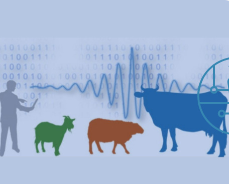 Quels sont les équipements numériques des éleveurs en France ? | SCIENCES DE L' ANIMAL | Scoop.it