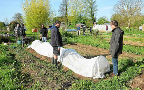 À Lannion, qui veut « mettre les mains dans la terre » au jardin collectif Hop ? | L'actualité des quartiers politique de la ville de Bretagne et Pays de la Loire | Scoop.it